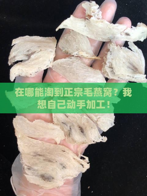 想加工毛燕窝哪里进货