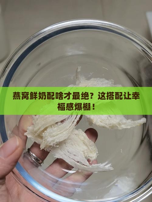 燕窝鲜奶和什么搭配最好