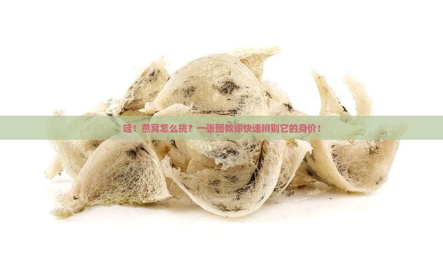 如何辨别燕窝的等级好坏