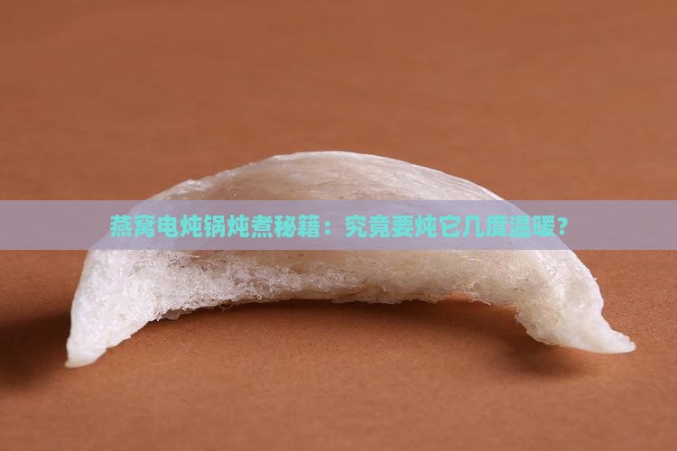 燕窝用电炖锅炖多久合适