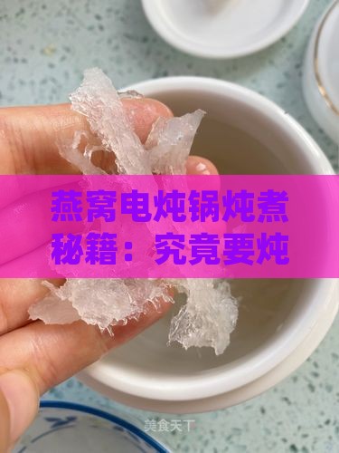 燕窝用电炖锅炖多久合适