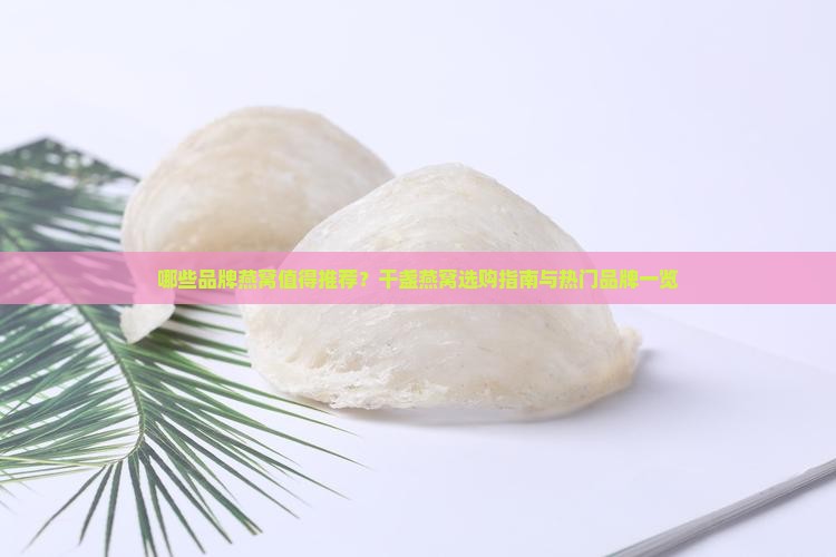 干盏燕窝品牌有哪些好