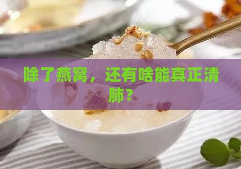 除了燕窝清肺还有什么