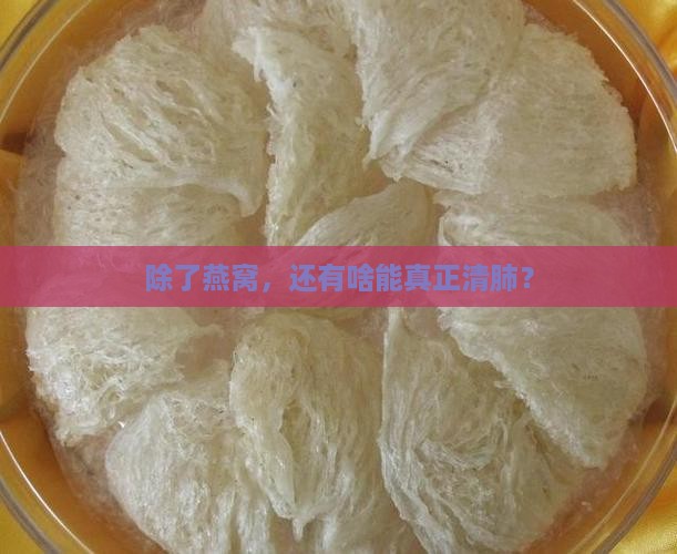 除了燕窝清肺还有什么