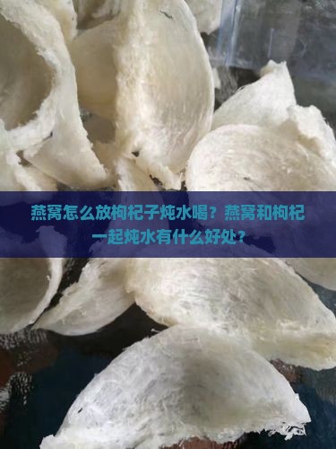 燕窝如何放枸杞子炖水喝