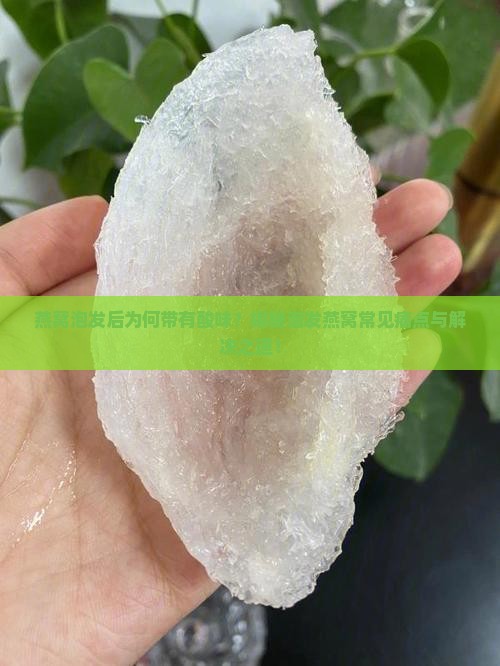 燕窝泡出来为什么有点酸
