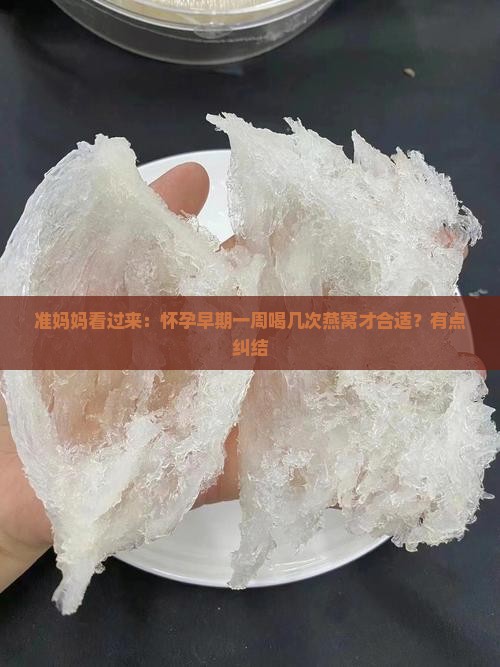 怀孕早期多久喝一次燕窝