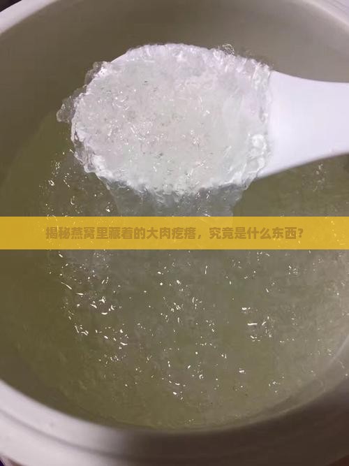 燕窝下有大肉疙瘩是什么