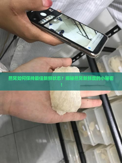 怎么知道燕窝新鲜度高低