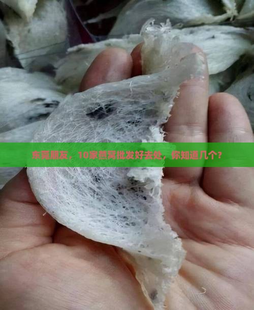 燕窝批发东莞哪里有卖
