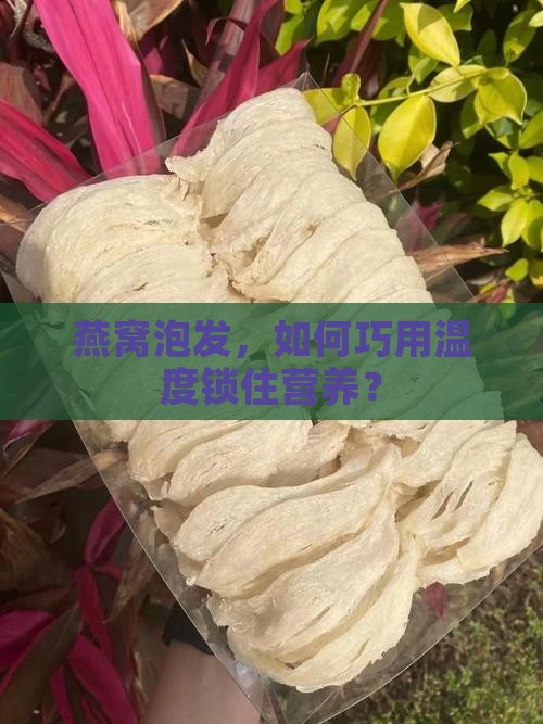 燕窝泡发怎么保持温度