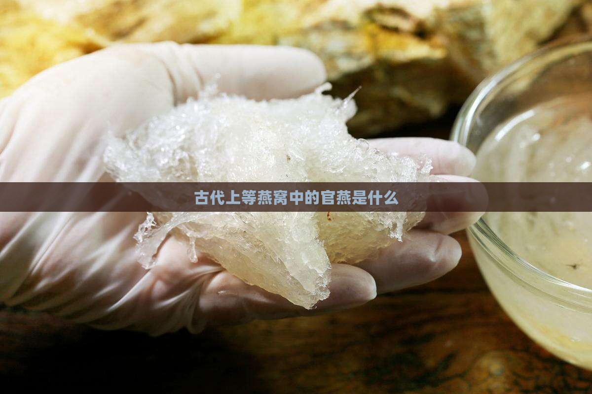 在古代上等燕窝是什么