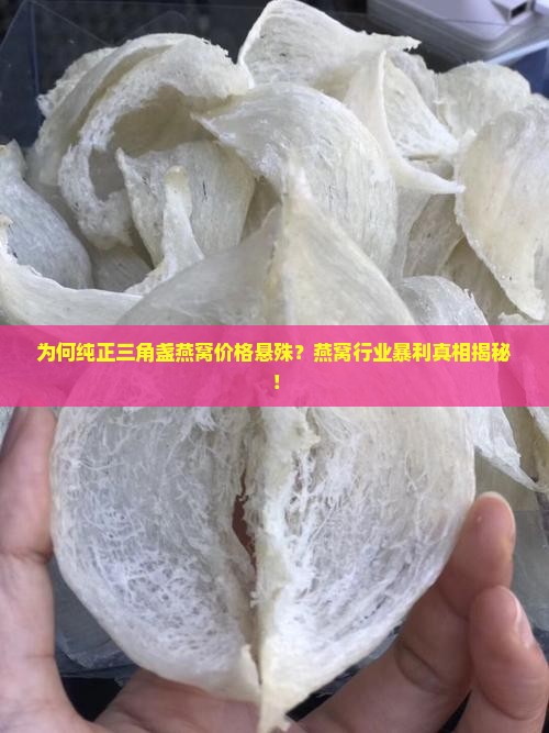 纯正的三角盏燕窝多少钱
