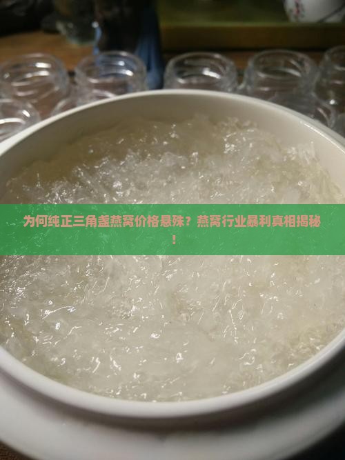纯正的三角盏燕窝多少钱