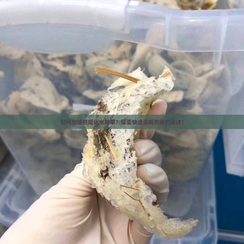 怎么让燕窝化水快一点