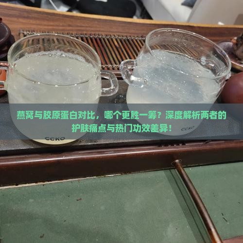 胶原蛋白和燕窝哪个好