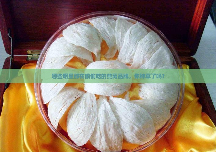 明星燕窝牌子有哪些品牌