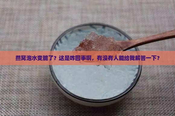 燕窝泡水很脆怎么回事啊