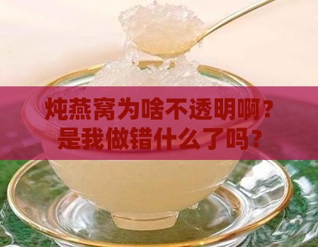 炖燕窝不透明怎么回事儿