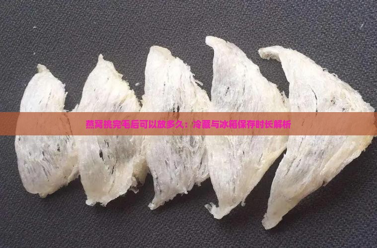 燕窝挑完毛后可以放多久