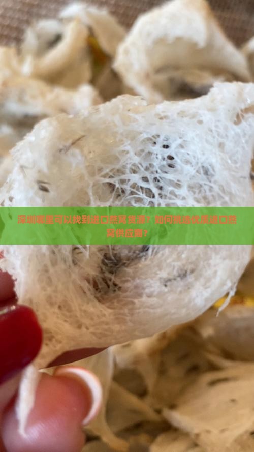 深圳进口燕窝货源哪里有