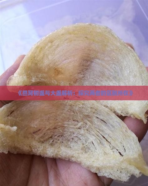 燕窝初盏和玉盏什么区别