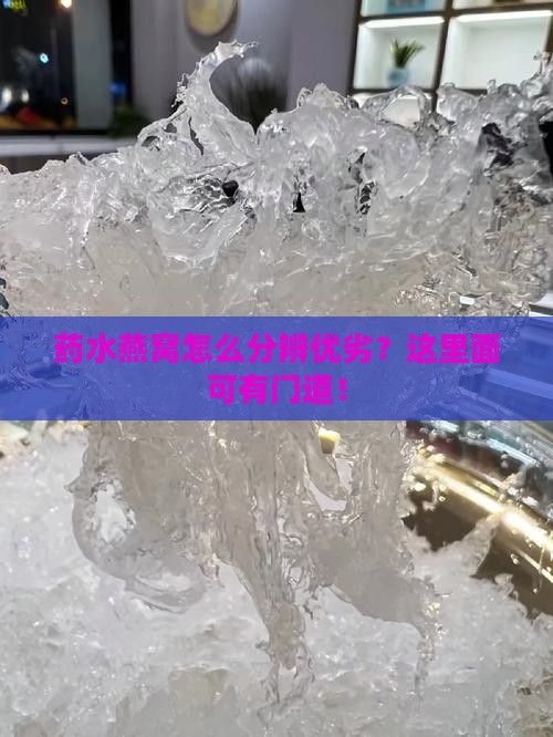 药水燕窝如何分辨好坏呢