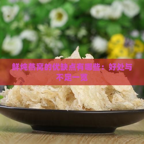 鲜炖燕窝的优缺点有哪些