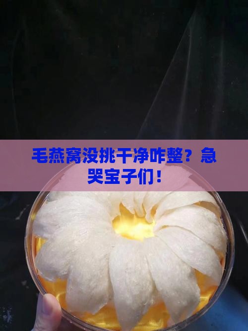 毛燕窝不挑干净怎么办