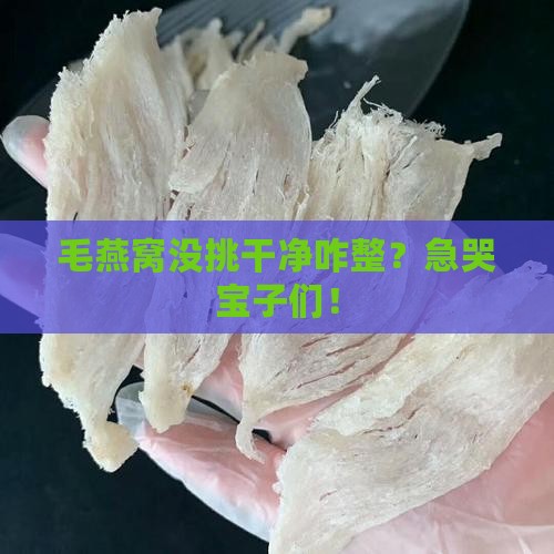 毛燕窝不挑干净怎么办