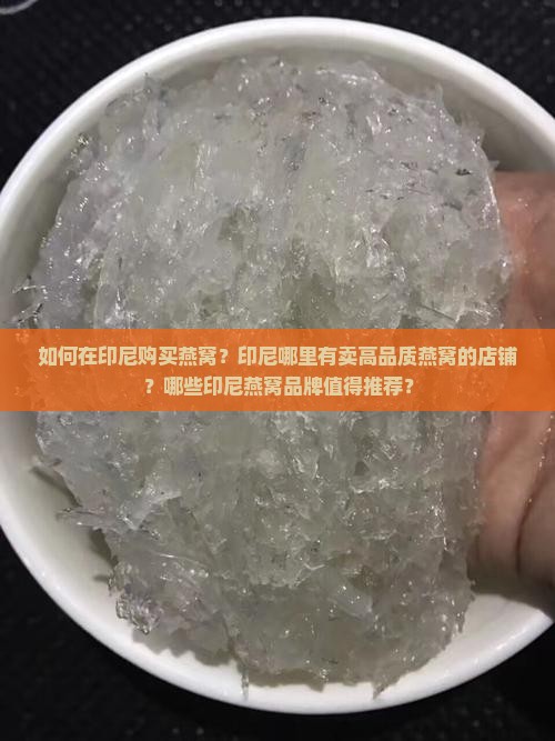 印尼卖燕窝店在哪里买的