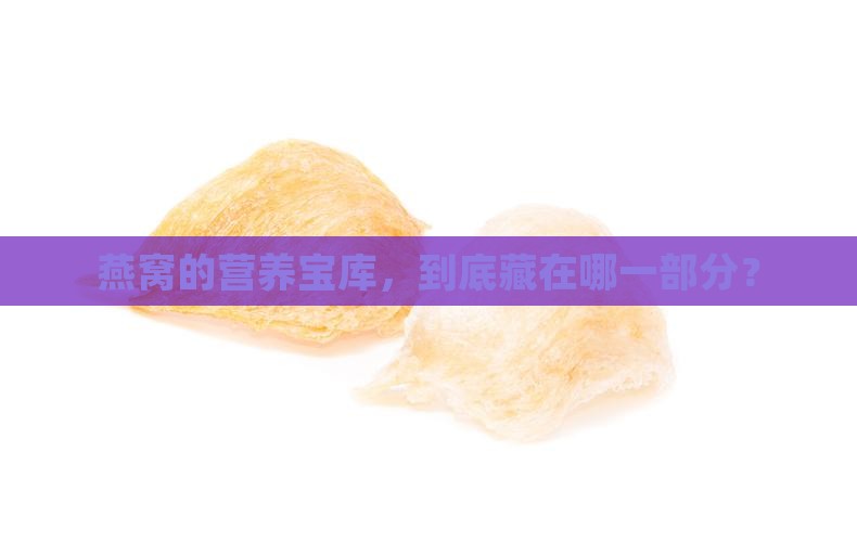 燕窝的营养在哪个部分