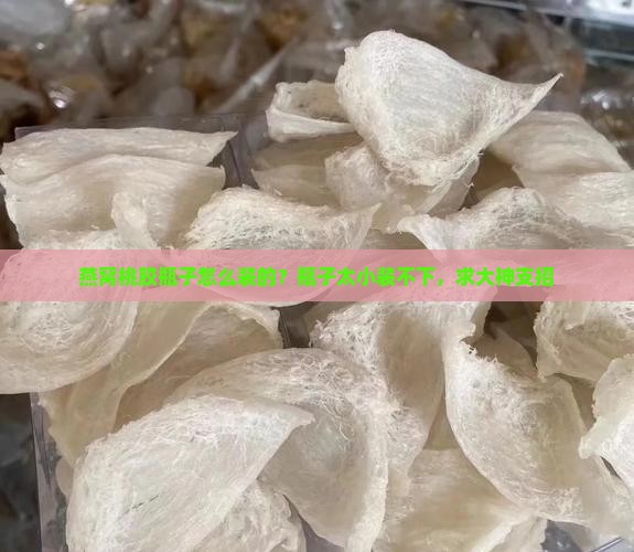 燕窝桃胶瓶子怎么装的