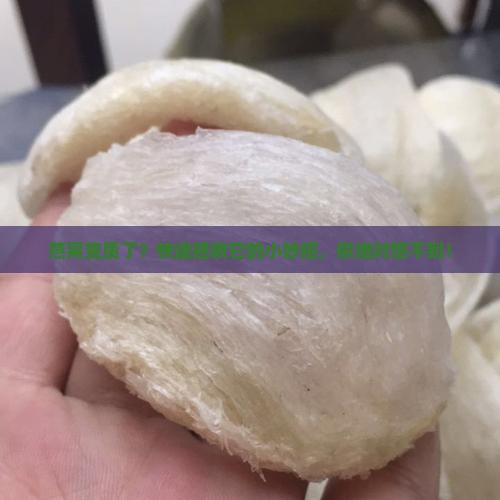 燕窝坏了怎么修好的快
