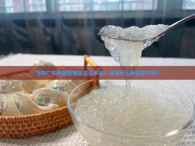 为什么广东燕窝商这么多