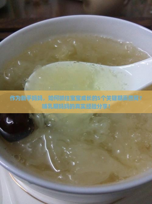 怎么样可以卖燕窝的产品