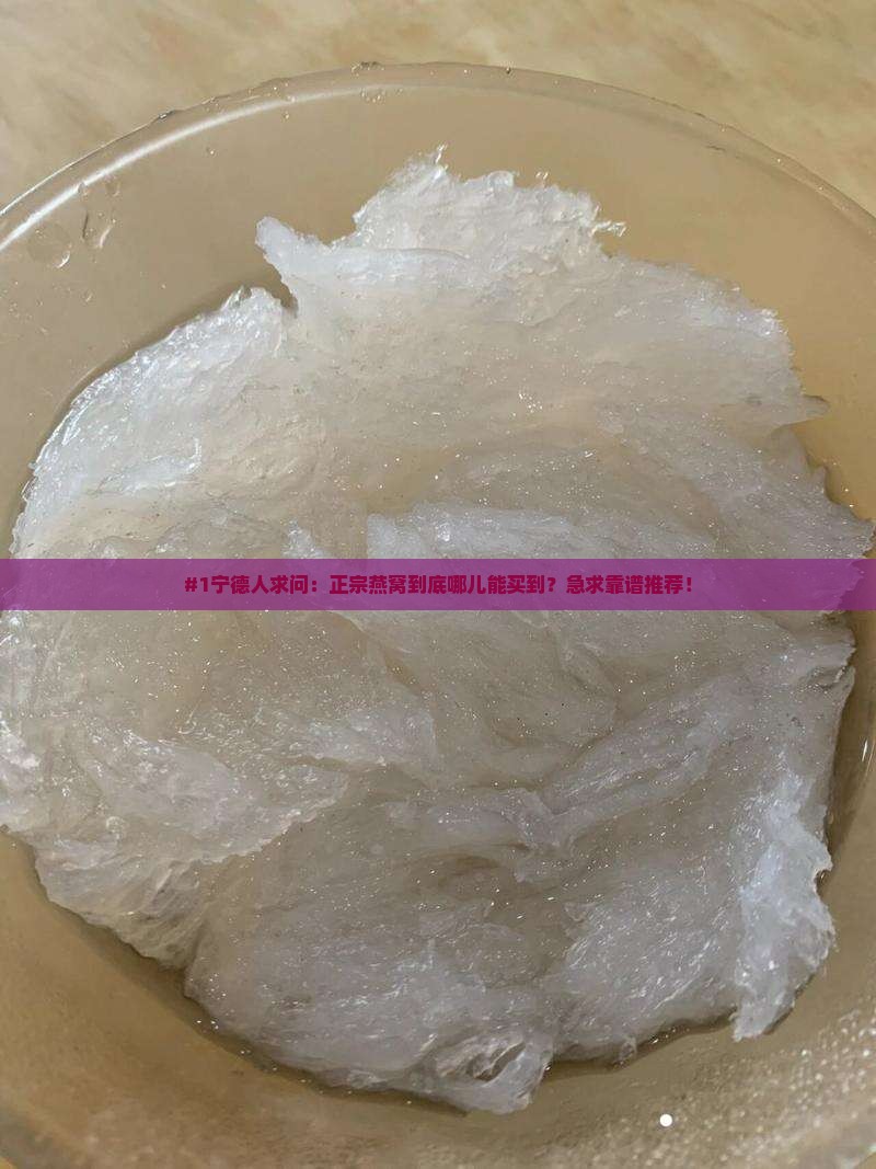 宁德燕窝哪里买正宗些