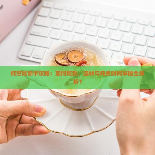 新手入门炖燕窝怎么炖