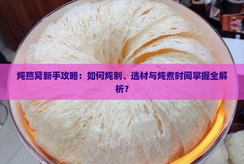 新手入门炖燕窝怎么炖