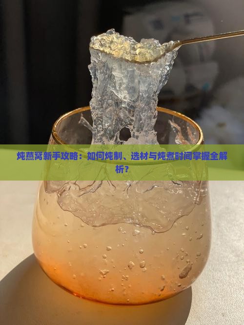 新手入门炖燕窝怎么炖