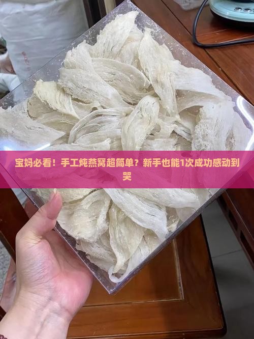 传统手工炖燕窝怎么做