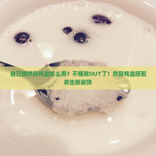 自己做燕窝炖盅怎么用