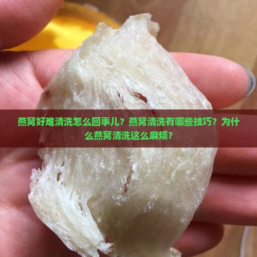 燕窝好难清洗怎么回事儿