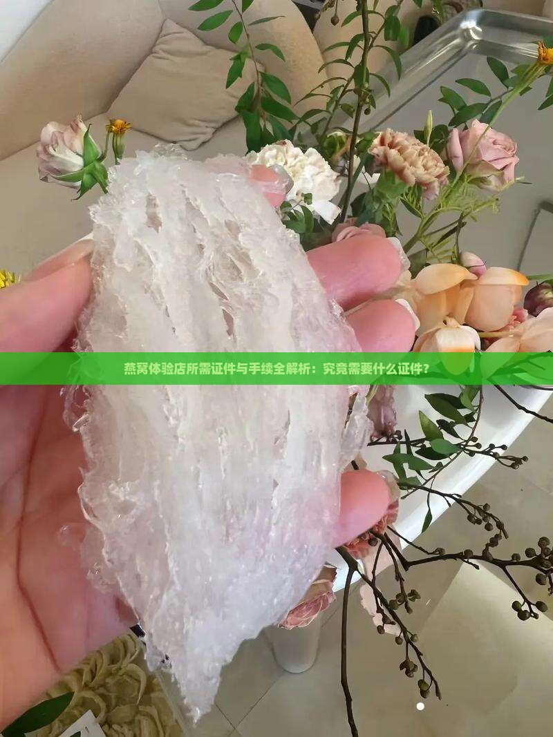 燕窝体验店需要什么证件