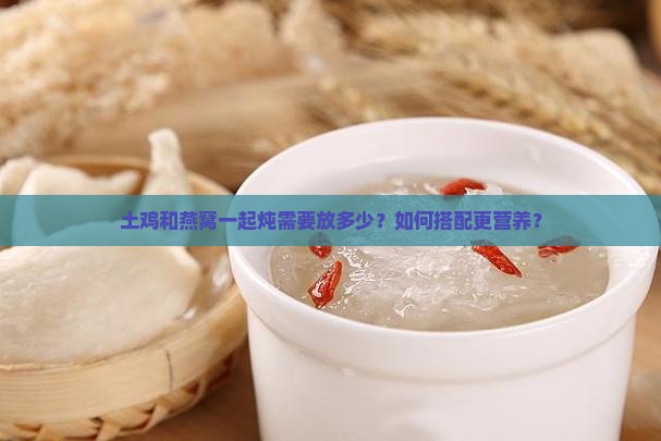 土鸡怎么炖燕窝放多少