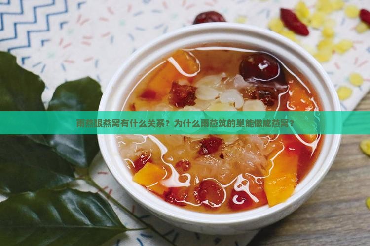 雨燕跟燕窝有什么关系