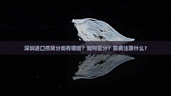 深圳进口燕窝分类有哪些