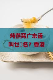 炖燕窝广东话叫什么名字