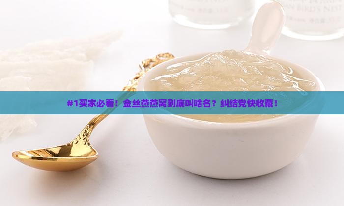 金丝燕燕窝叫什么名字