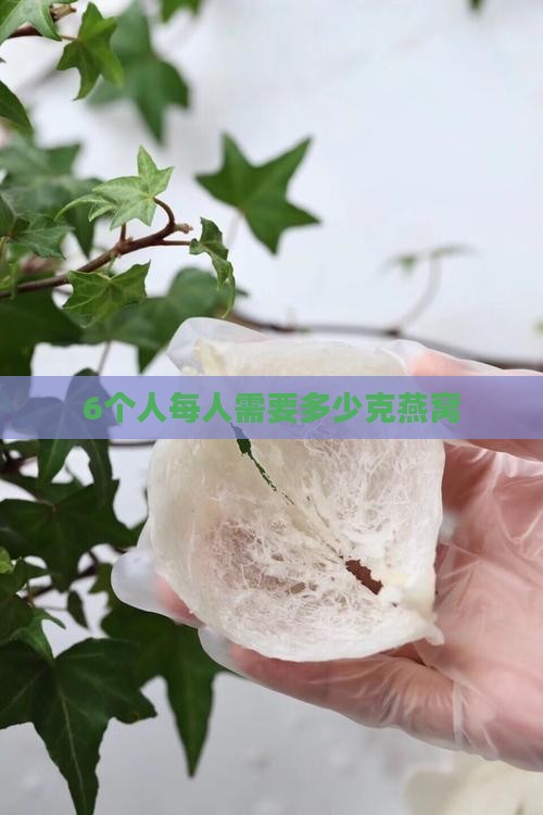6个人需要多少克燕窝